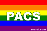 Gay Pacs - Bandiera del movimento Gay. Ha i colori rovesciati rispetto a quella della pace e manca di un colore.